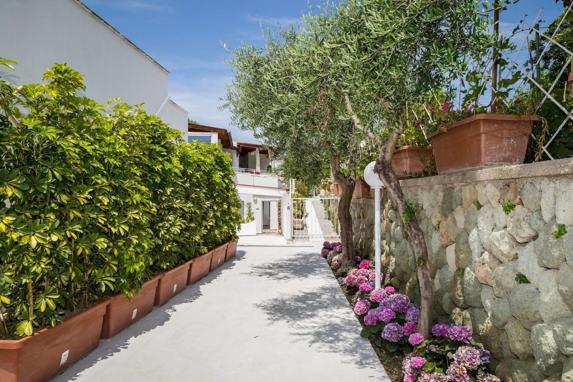 Bed and Breakfast Relais Romildanna Forio di Ischia Exterior foto